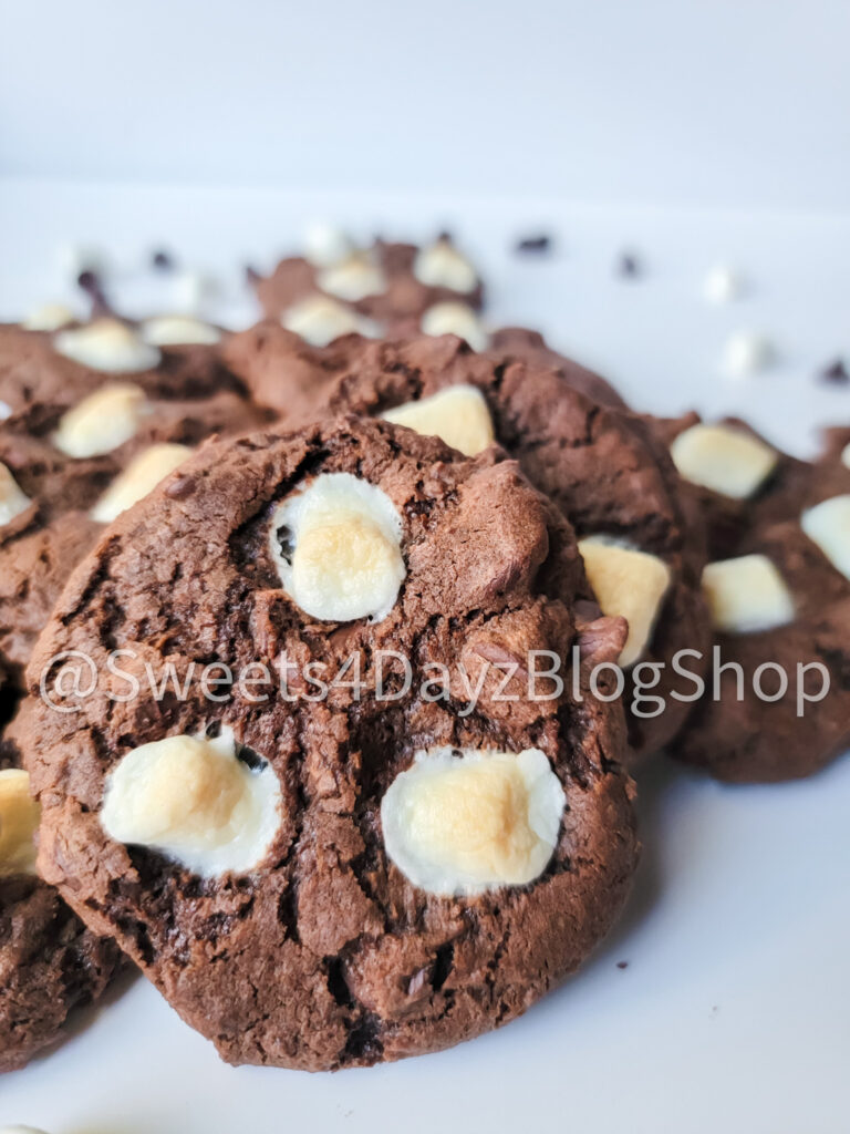Hot Cocoa Cookies on White - Image 4