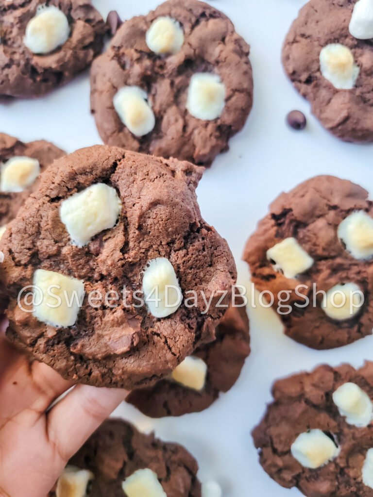 Hot Cocoa Cookies on White - Image 5
