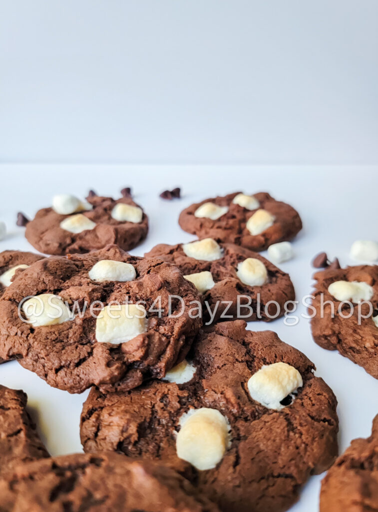 Hot Cocoa Cookies on White - Image 8