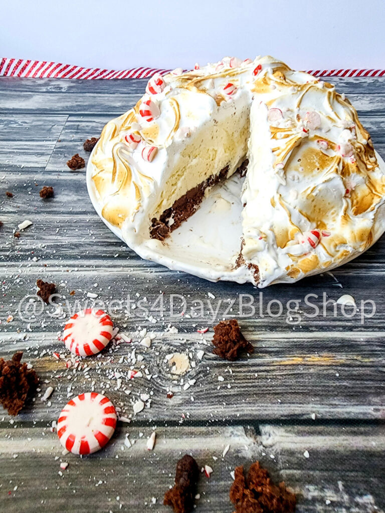 Peppermint Brownie Baked Alaska on Grey Wood - Image 3