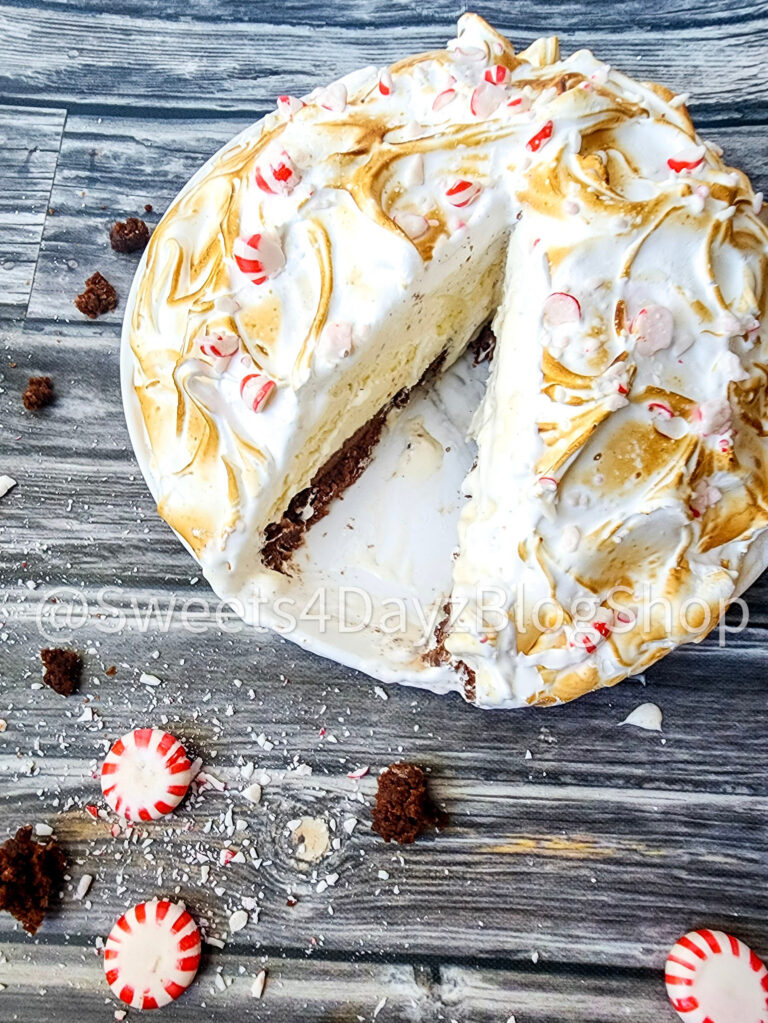 Peppermint Brownie Baked Alaska on Grey Wood - Image 4
