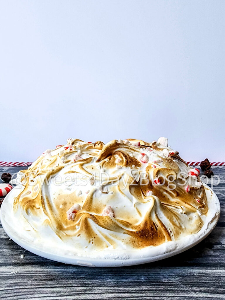 Peppermint Brownie Baked Alaska on Grey Wood