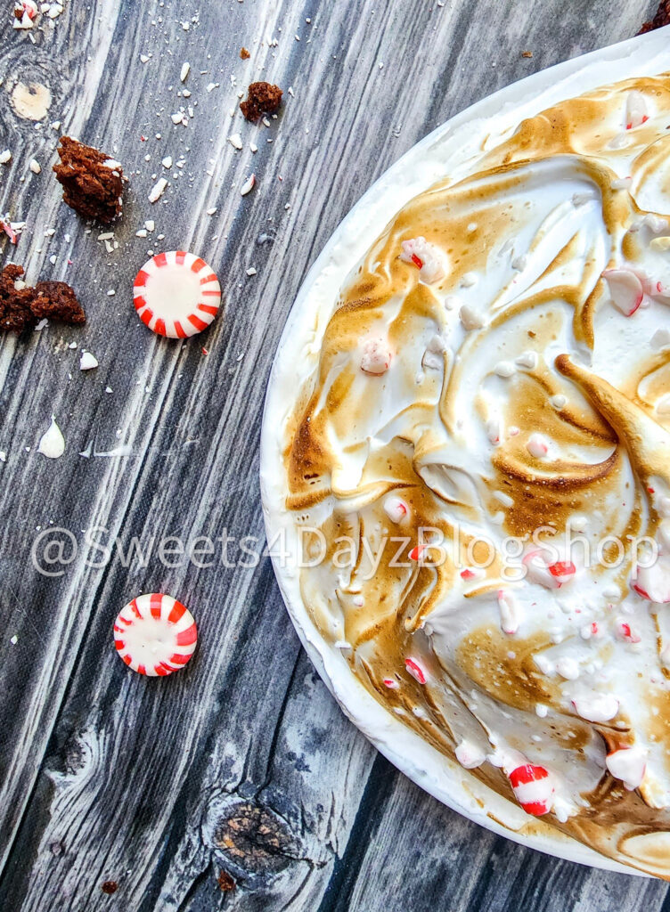 Peppermint Brownie Baked Alaska on Grey Wood - Image 6