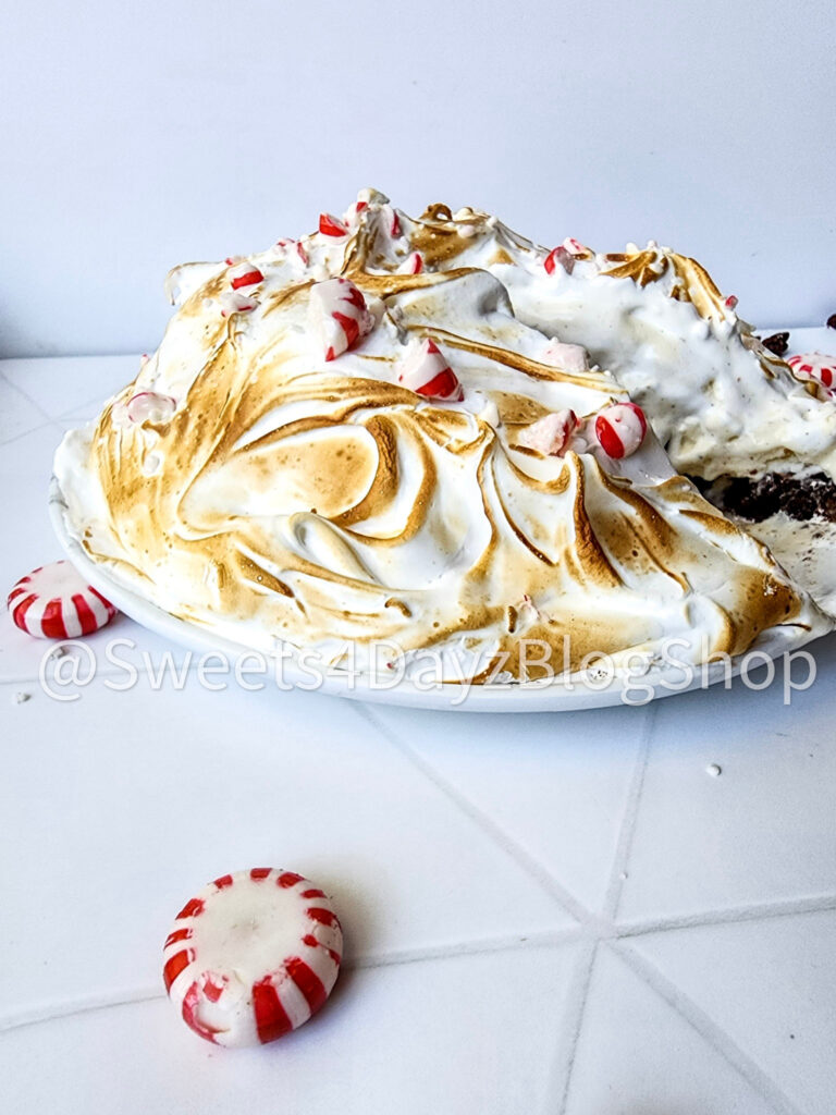 Peppermint Brownie Baked Alaska on Rhombus - Image 5