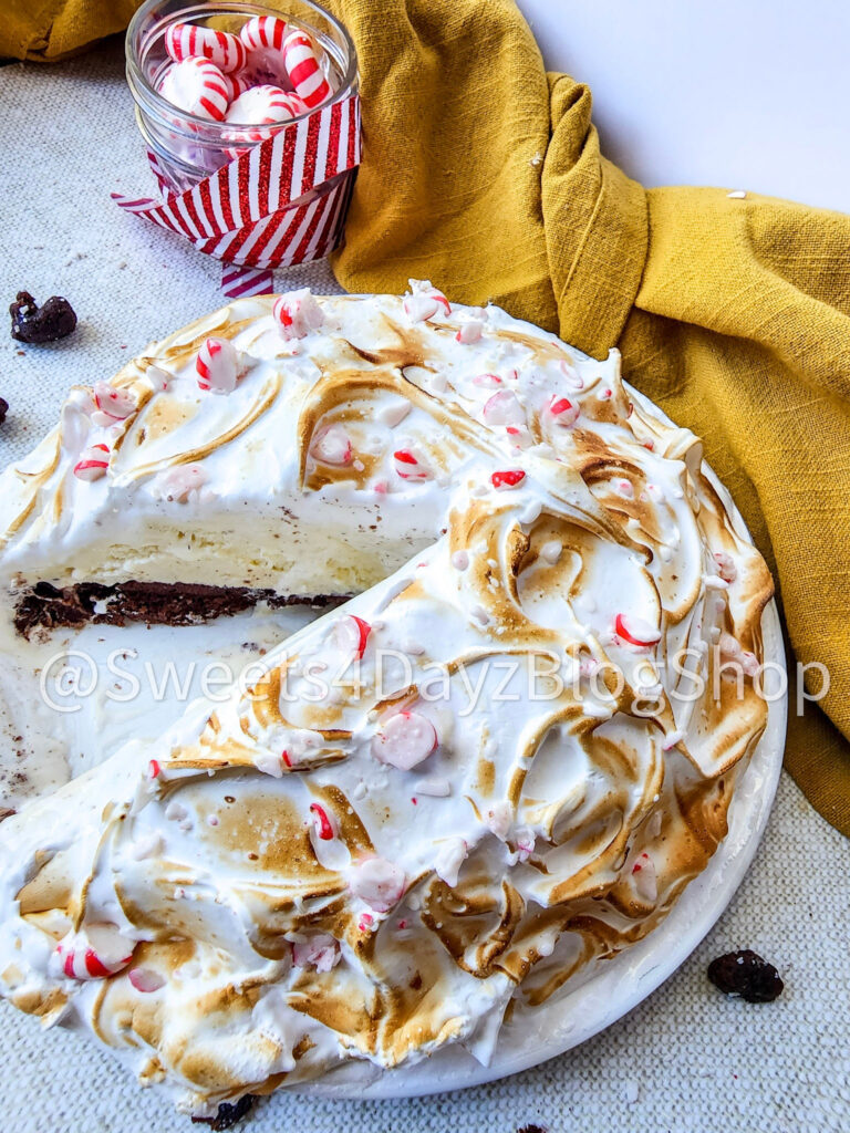 Peppermint Brownie Baked Alaska on Linen - Image 6
