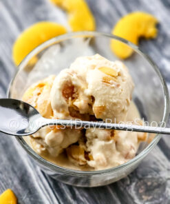 Bourbon Peach Ice Cream on Grey Wood
