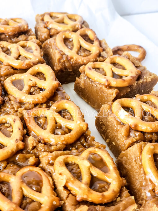 Peanut Butter Pretzel Fudge on White - Image 7