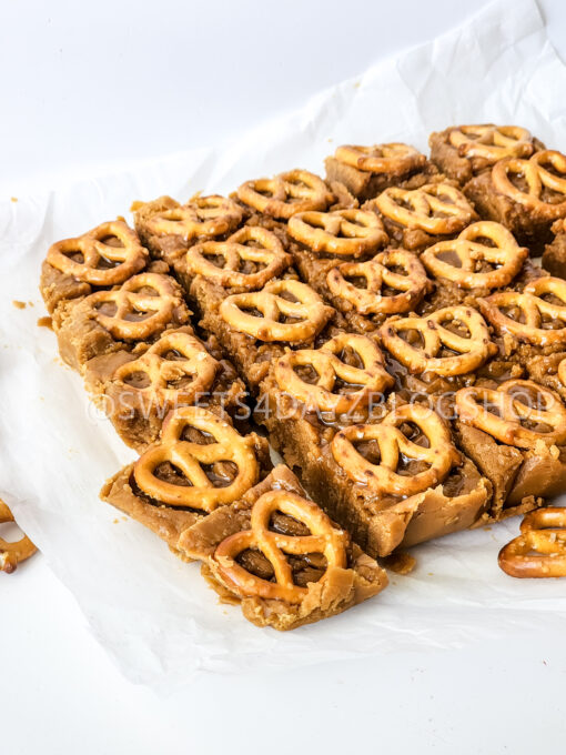 Peanut Butter Pretzel Fudge on White - Image 8