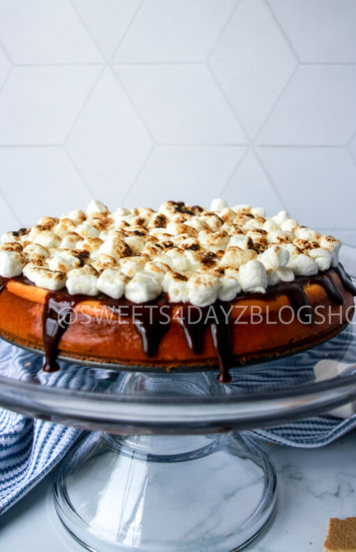 S'mores Cheesecake - Image 5