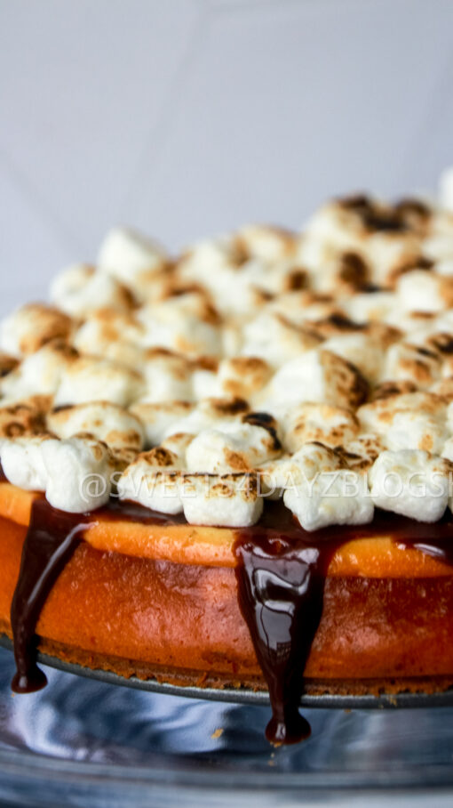 S'mores Cheesecake - Image 6