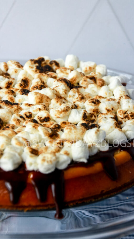 S'mores Cheesecake - Image 7