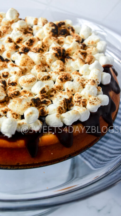 S'mores Cheesecake - Image 8