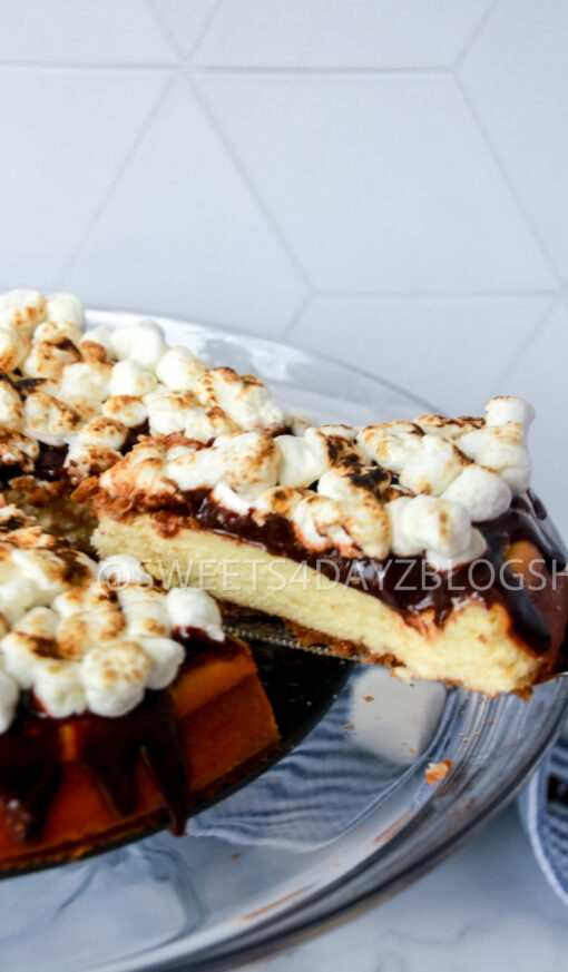 S'mores Cheesecake - Image 12