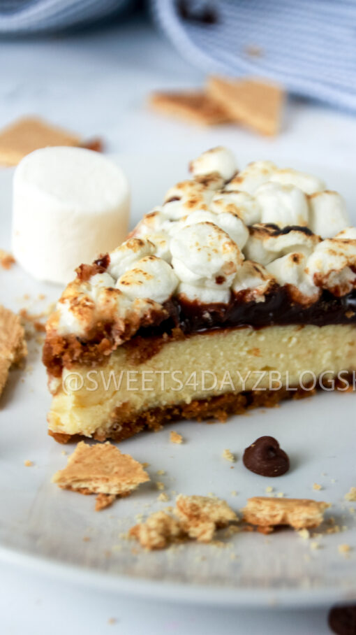 S'mores Cheesecake - Image 17
