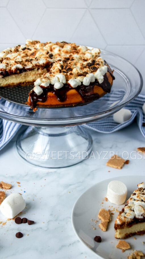 S'mores Cheesecake - Image 20