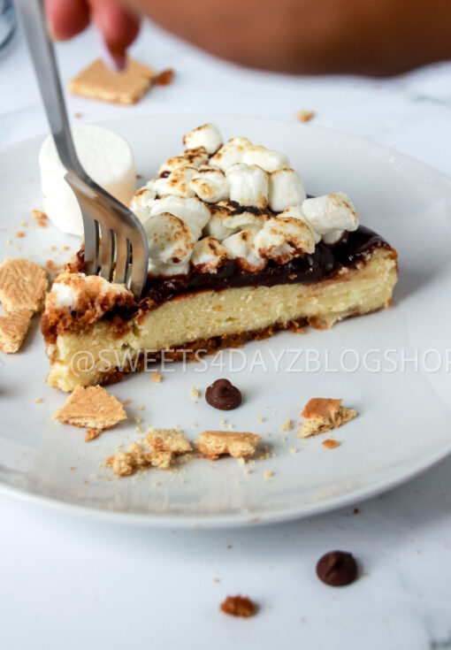 S'mores Cheesecake - Image 21