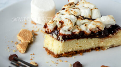 S'mores Cheesecake - Image 22