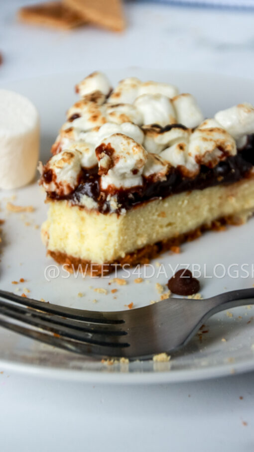 S'mores Cheesecake - Image 23