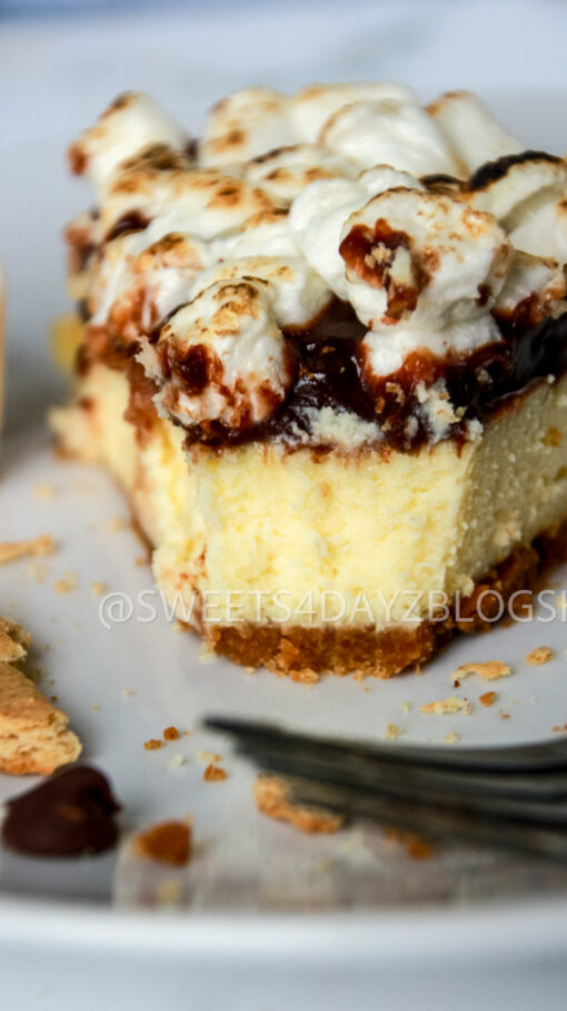 S'mores Cheesecake - Image 24
