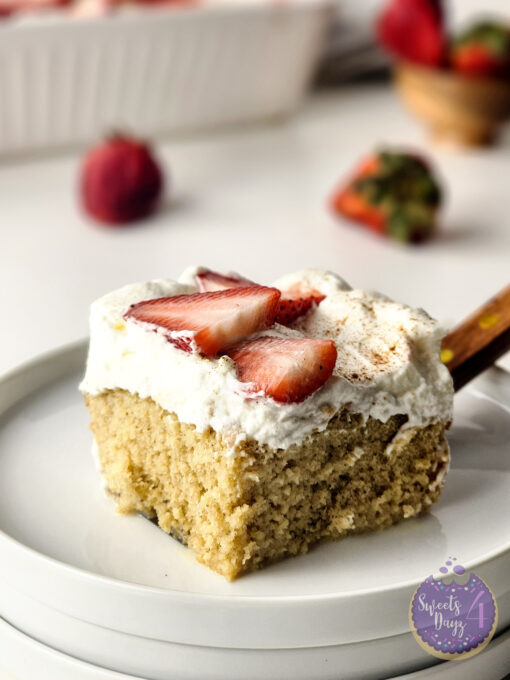 Tres Leches Cake on White - Image 11