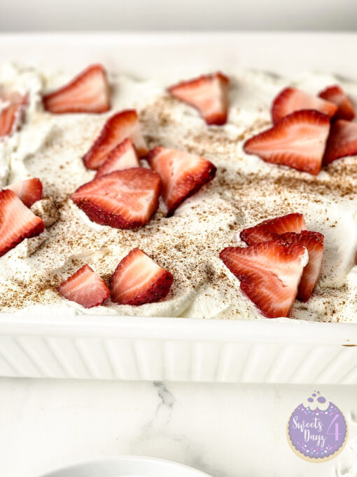 Tres Leches Cake on Marble - Image 3