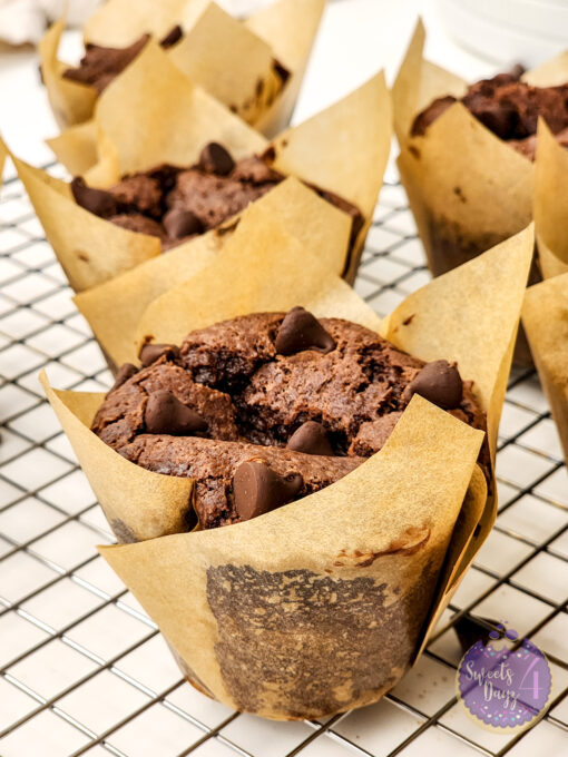Double Chocolate Muffins on White - Image 6