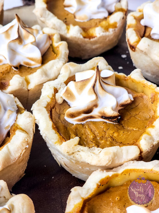 Mini Pumpkin Pies on White - Image 4