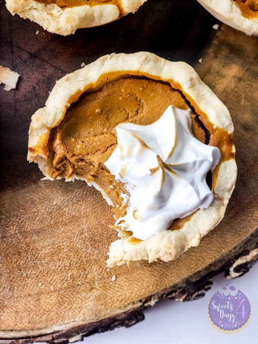 Mini Pumpkin Pies on White - Image 8