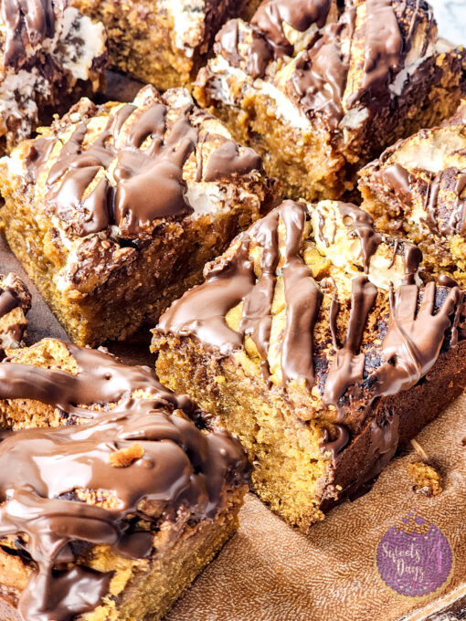 Pumpkin S'mores Bars on Marble - Image 7
