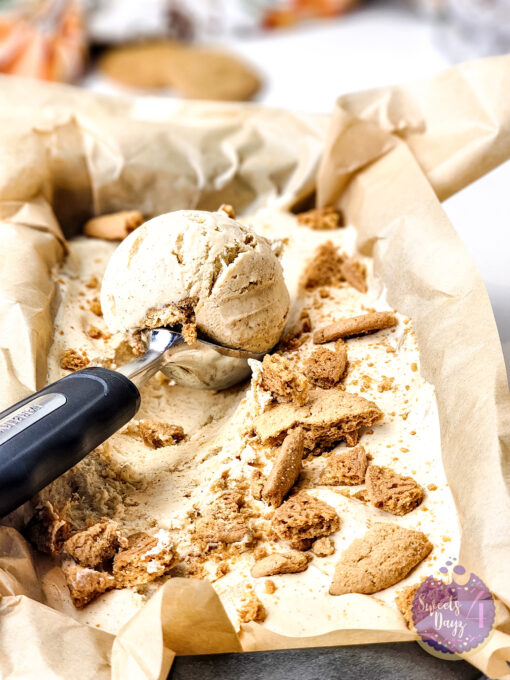 Gingerbread Ice Cream on White - Image 3