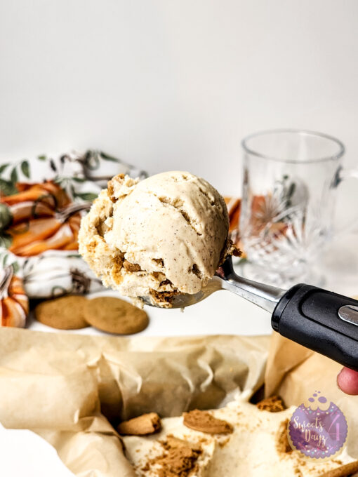 Gingerbread Ice Cream on White - Image 4