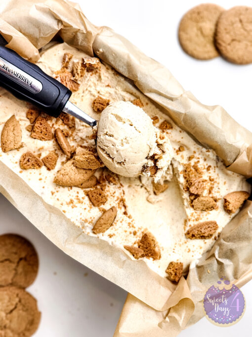 Gingerbread Ice Cream on White