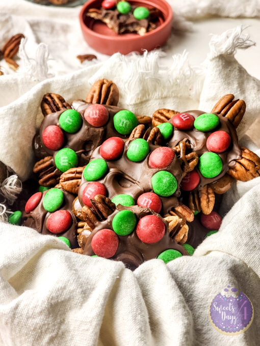 Holiday Turtles on Rhombus - Image 3