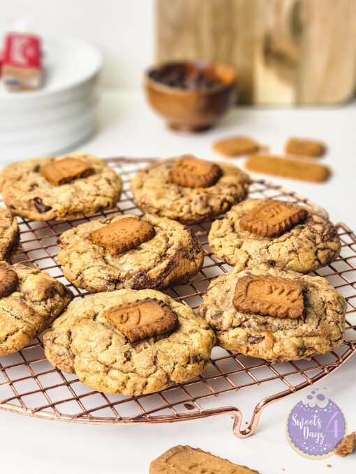 Biscoff Chocolate Chip Cookies on White - Image 3