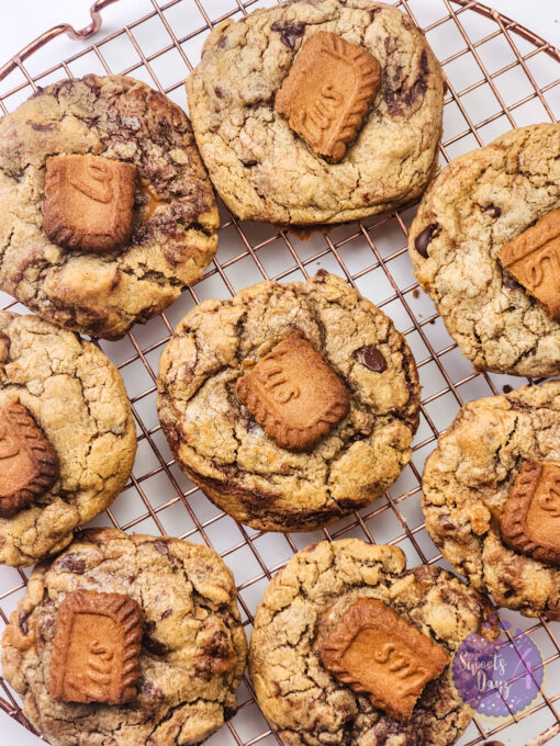 Biscoff Chocolate Chip Cookies on White - Image 5