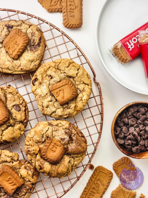 Biscoff Chocolate Chip Cookies on White - Image 7