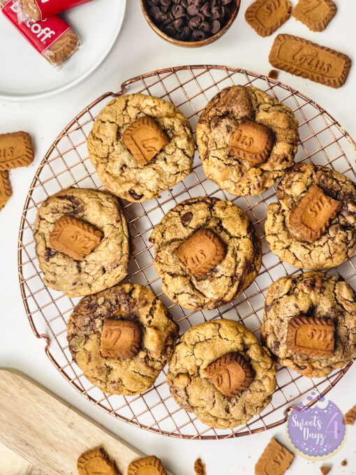 Biscoff Chocolate Chip Cookies on White - Image 8