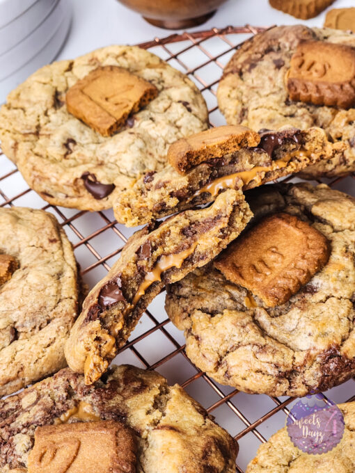 Biscoff Chocolate Chip Cookies on White - Image 10