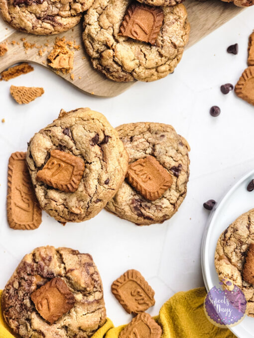 Biscoff Chocolate Chip Cookies on Rhombus - Image 10