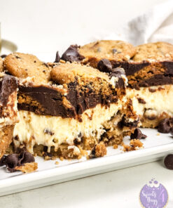 Chocolate Chip Cookie Cheesecake Bars on Marble