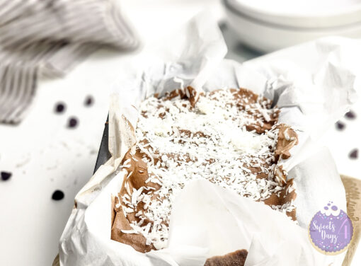 Chocolate Coconut Ice Cream on White - Image 3