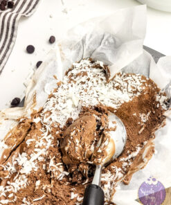 Chocolate Coconut Ice Cream on White