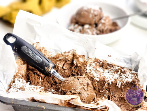 Chocolate Coconut Ice Cream on Rhombus - Image 5
