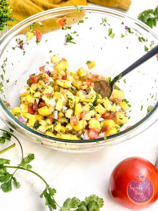 Mango Pineapple Salsa on Gold Marble - Image 10