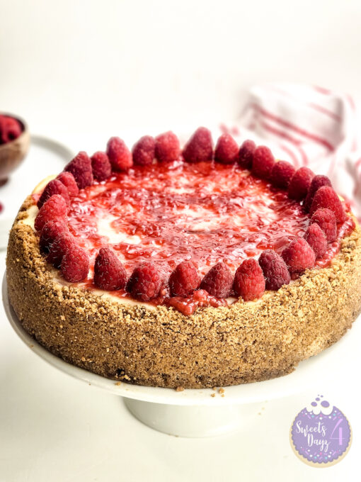 Raspberry Cheesecake on White - Image 2