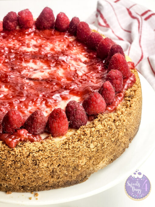 Raspberry Cheesecake on White - Image 6