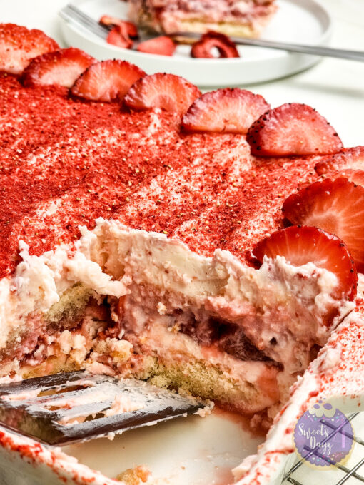 Strawberry Tiramisu on Rhombus