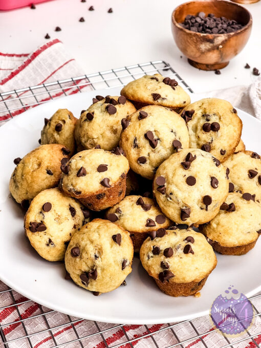 Mini Chocolate Chip Muffins on White - Image 3