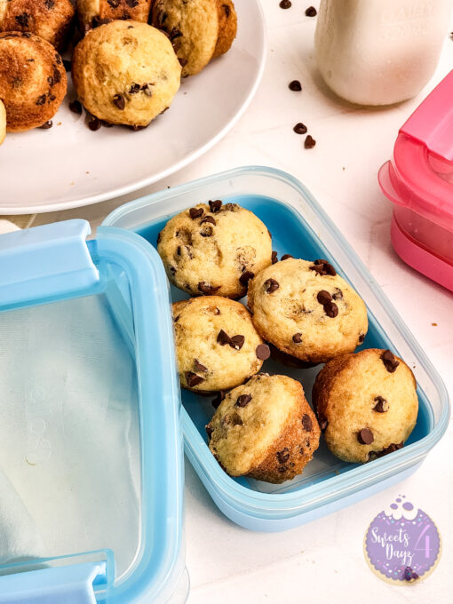 Mini Chocolate Chip Muffins on Rhombus - Image 6