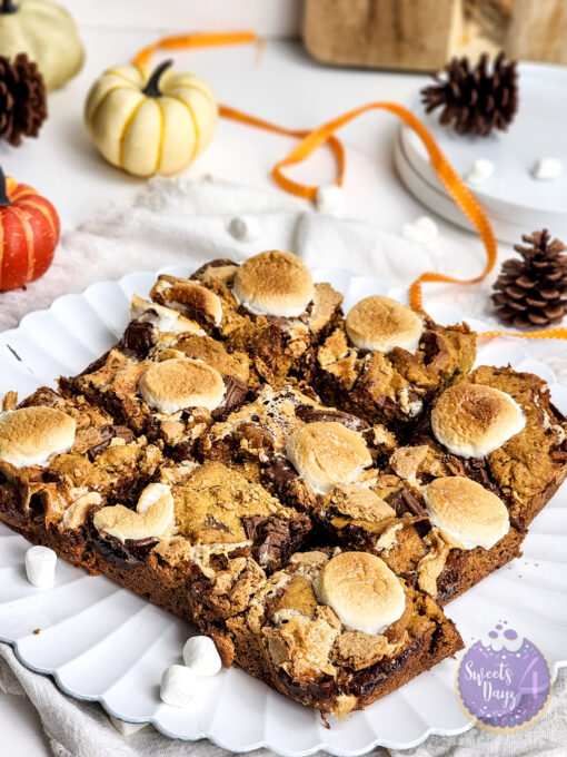 Smores Pumpkin Bars on White - Image 2
